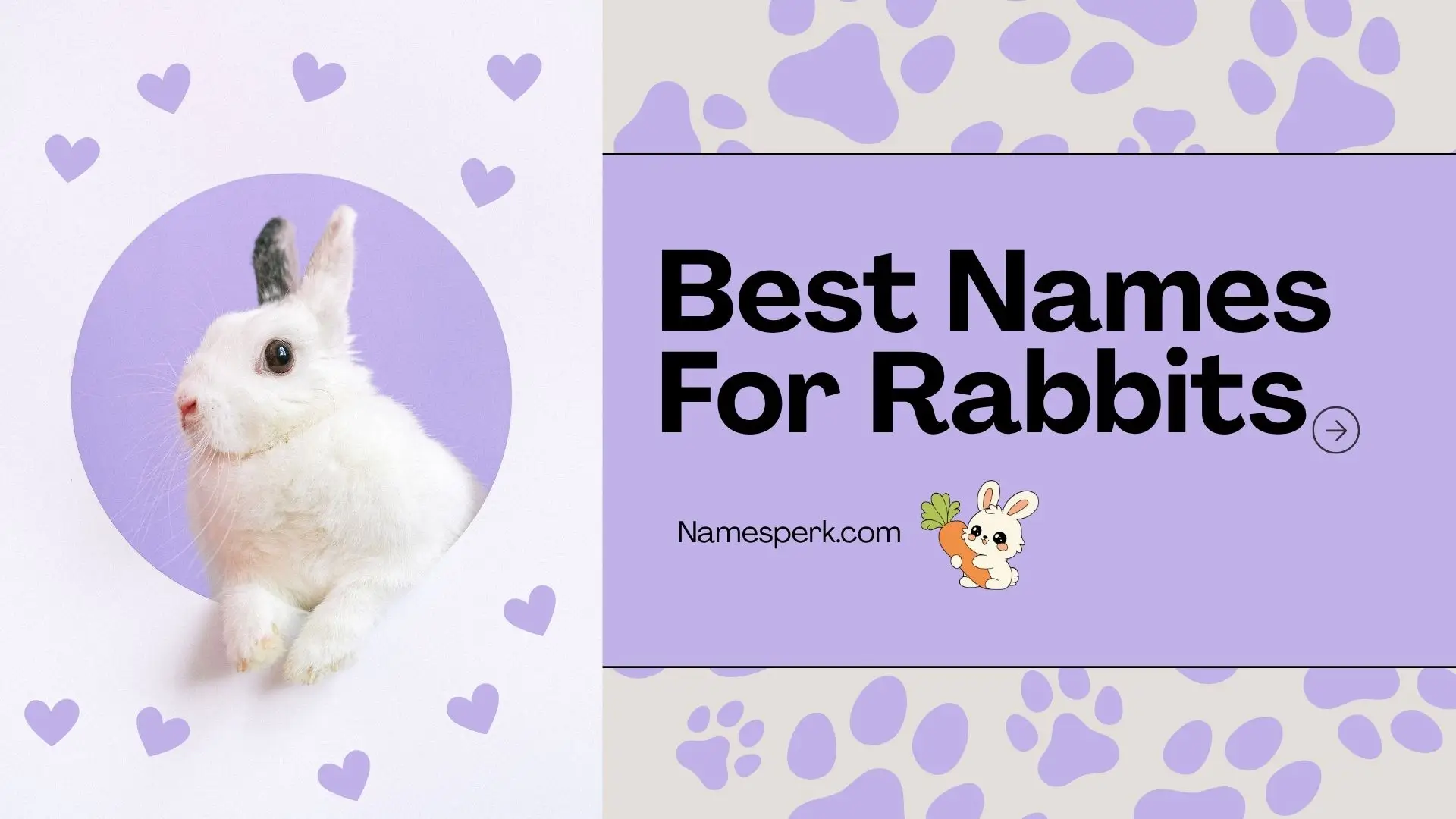 Best Names For Rabbits