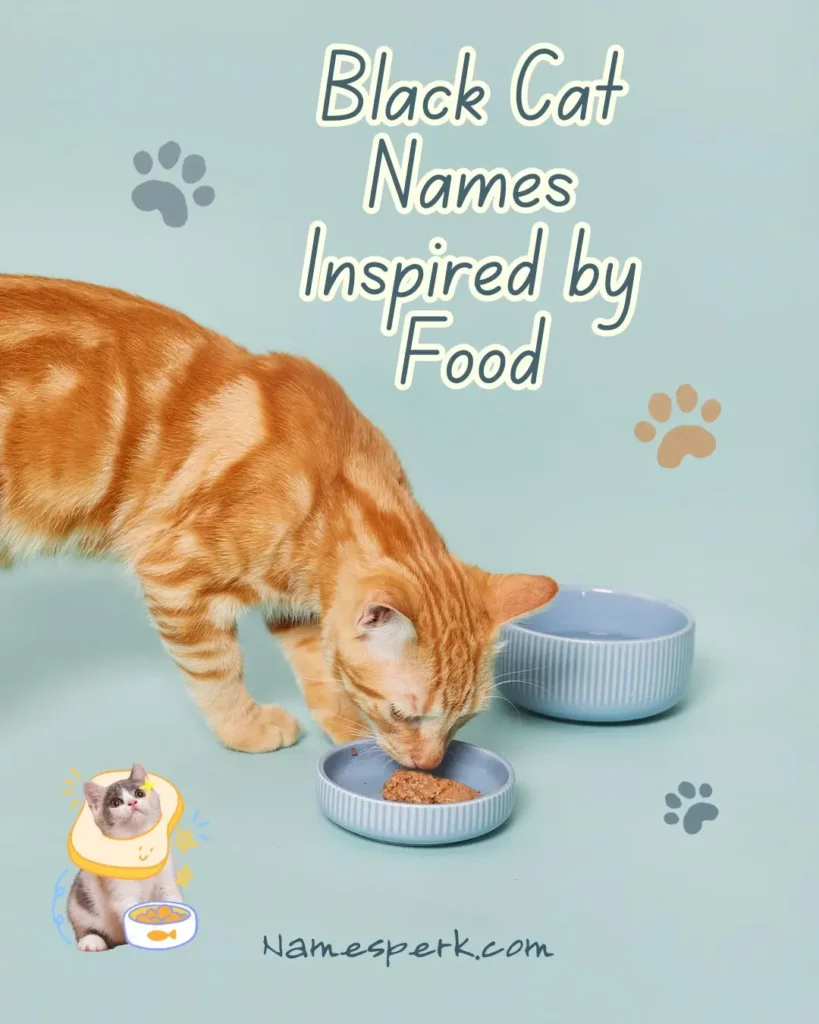 Black Cat Names Inspired by Food