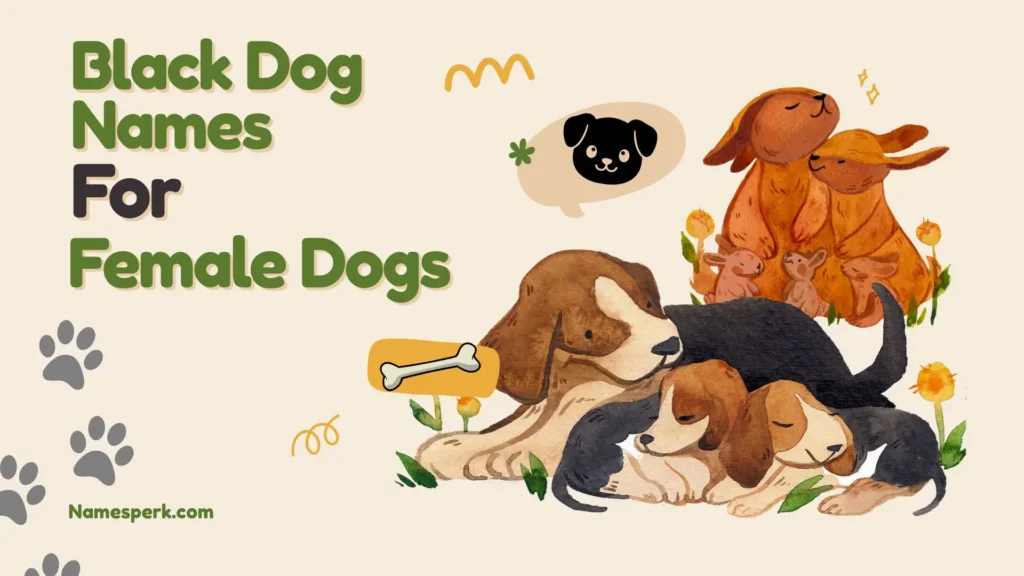 Black Dog Names for Female Dogs