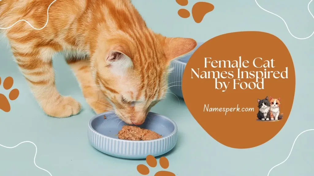 Female Cat Names Inspired by Food