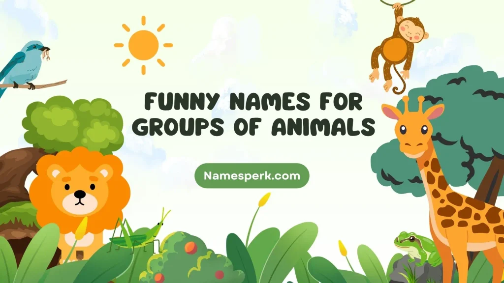 Funny Names for Groups of Animals