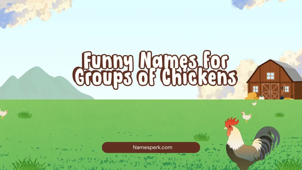 Funny Names for Groups of Chickens