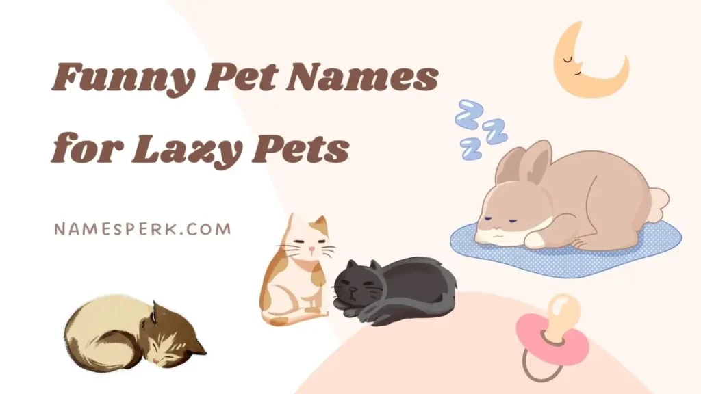 Funny Pet Names for Lazy Pets