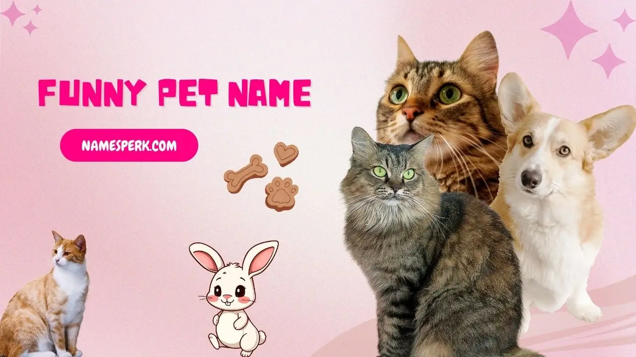 Funny pet names