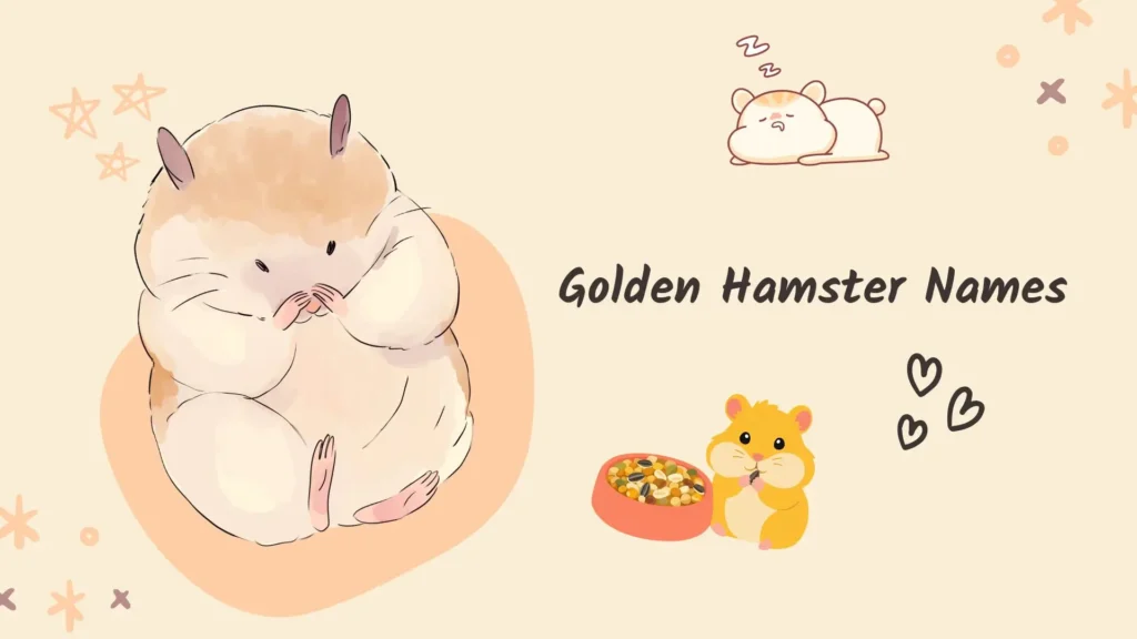Golden Hamster Names