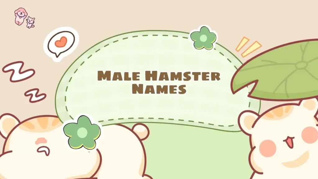 Male Hamster Names