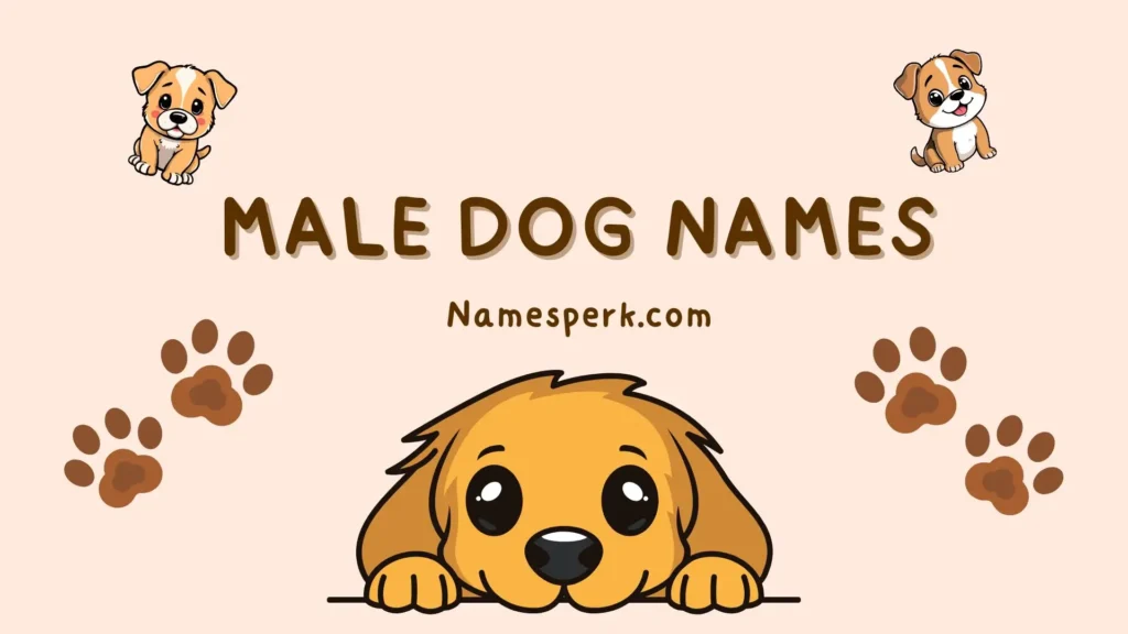 Male Dog Names