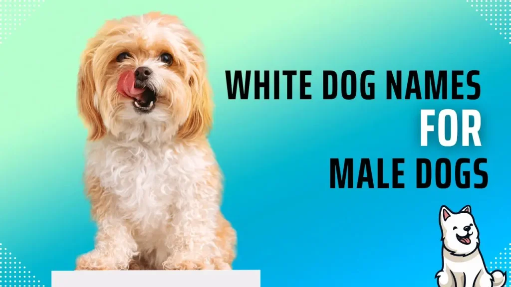 White Dog Names for Male Dogs
