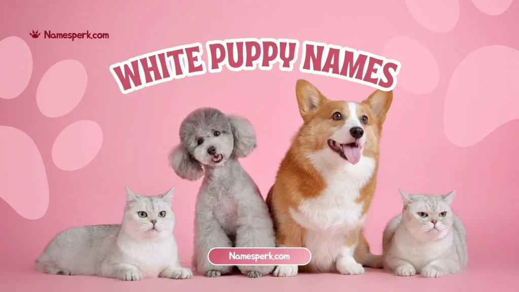White Puppy Names