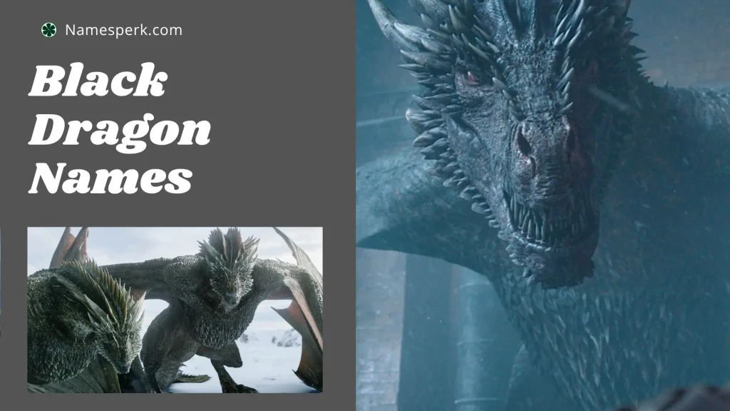 Black Dragon Names