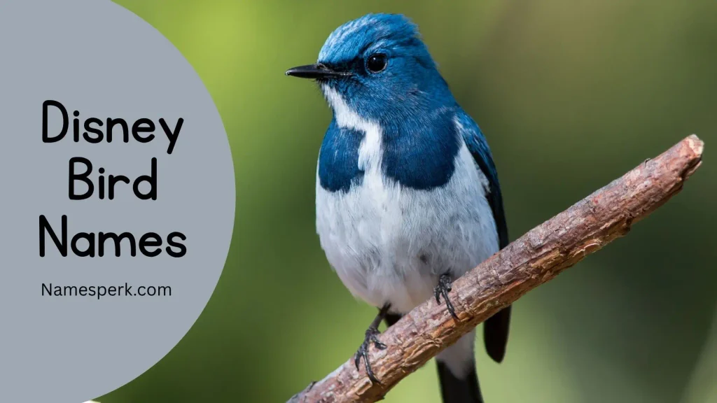 Disney Bird Names