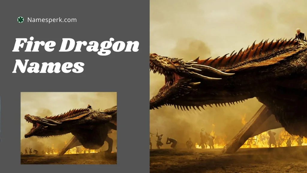 Fire Dragon Names