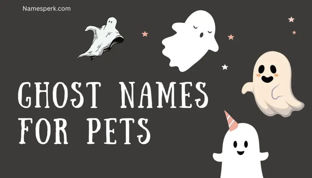 Ghost Names for Pets