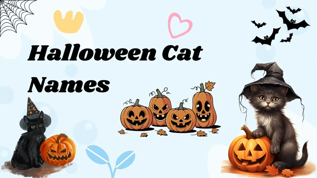 Halloween Cat Names