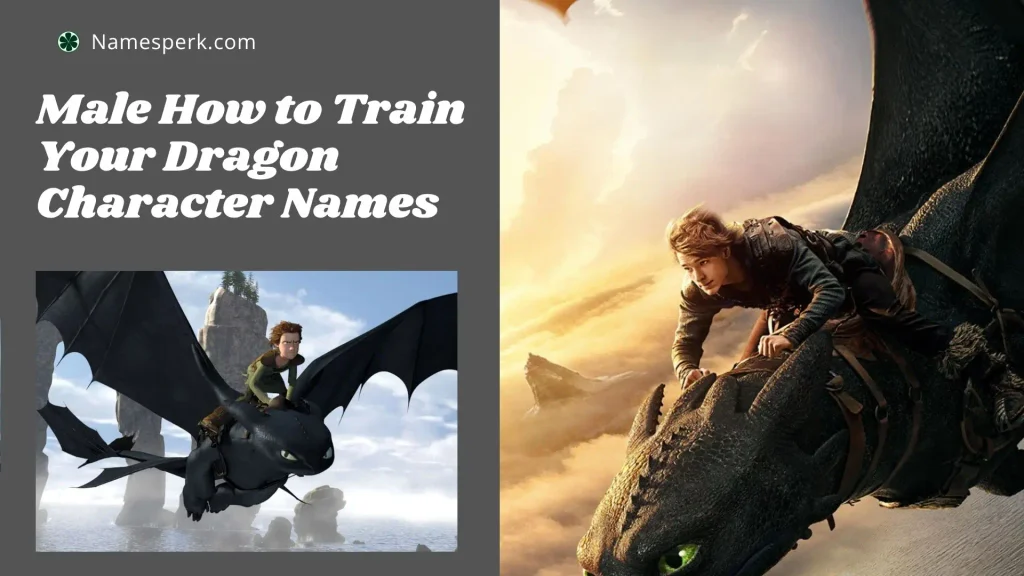 Male How to Train Your Dragon Character Names