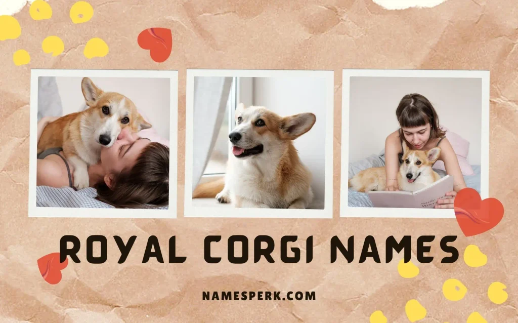 Royal Corgi Names