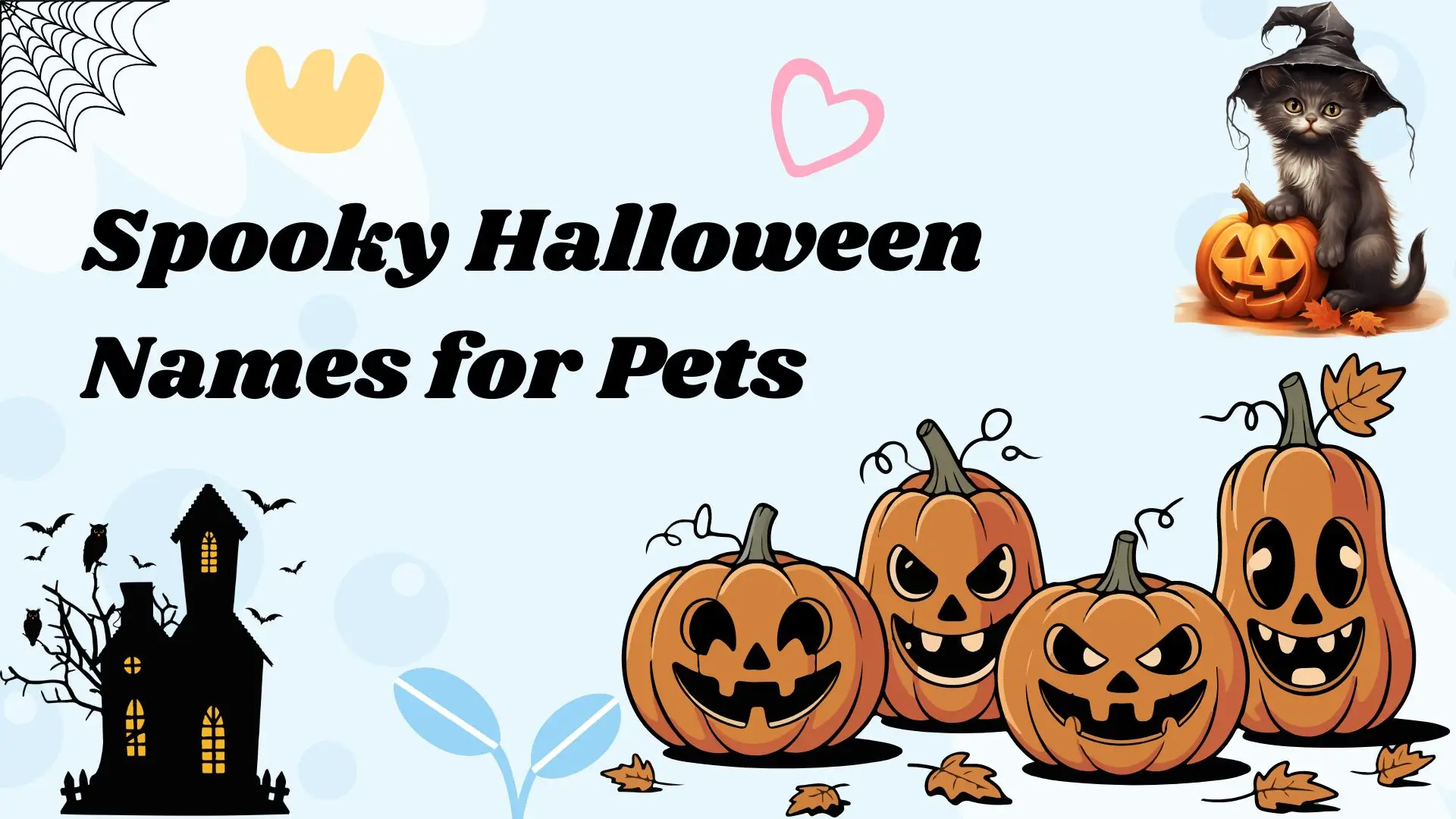Spooky Halloween Names for Pets