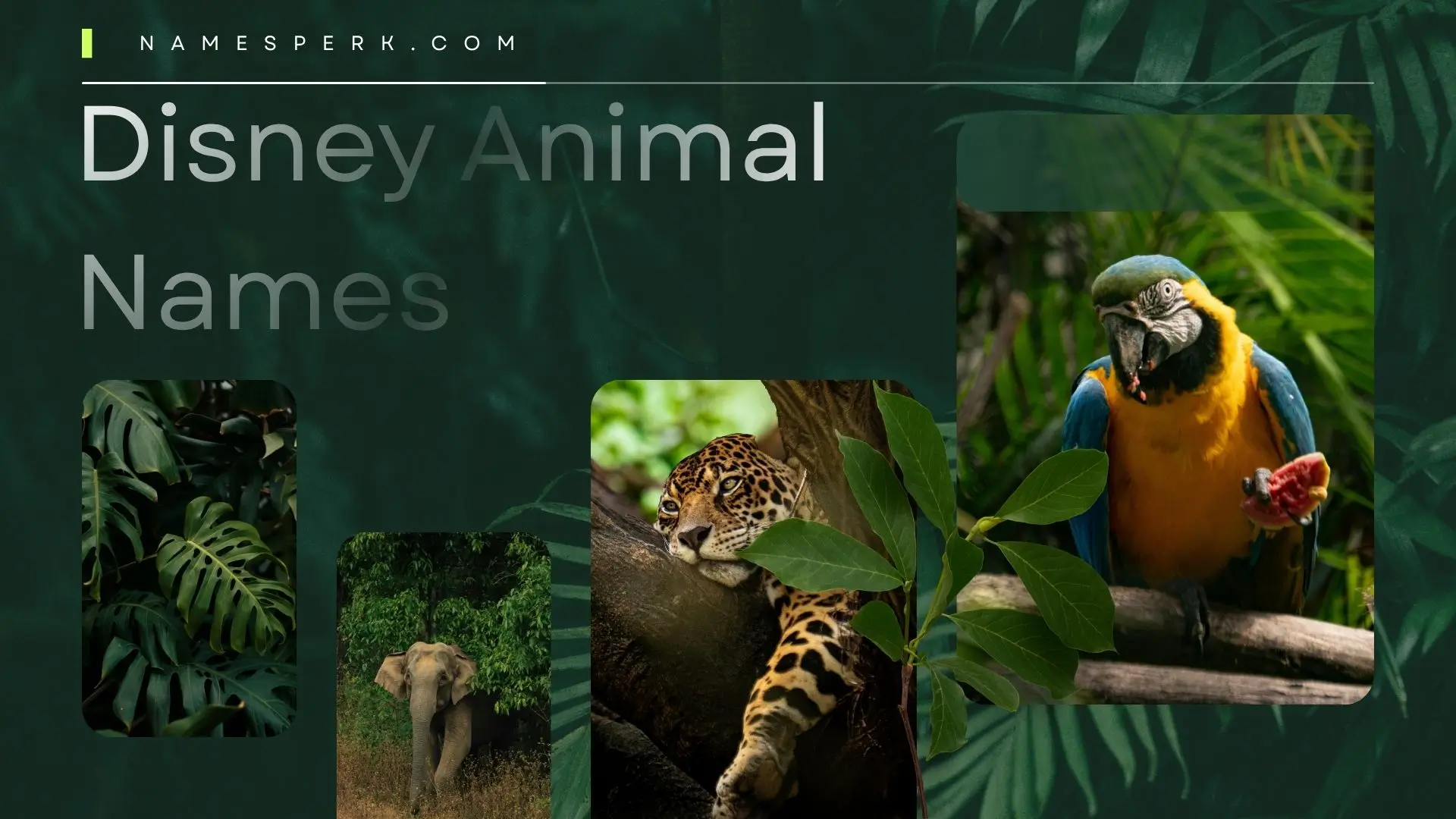 Disney Animal Names