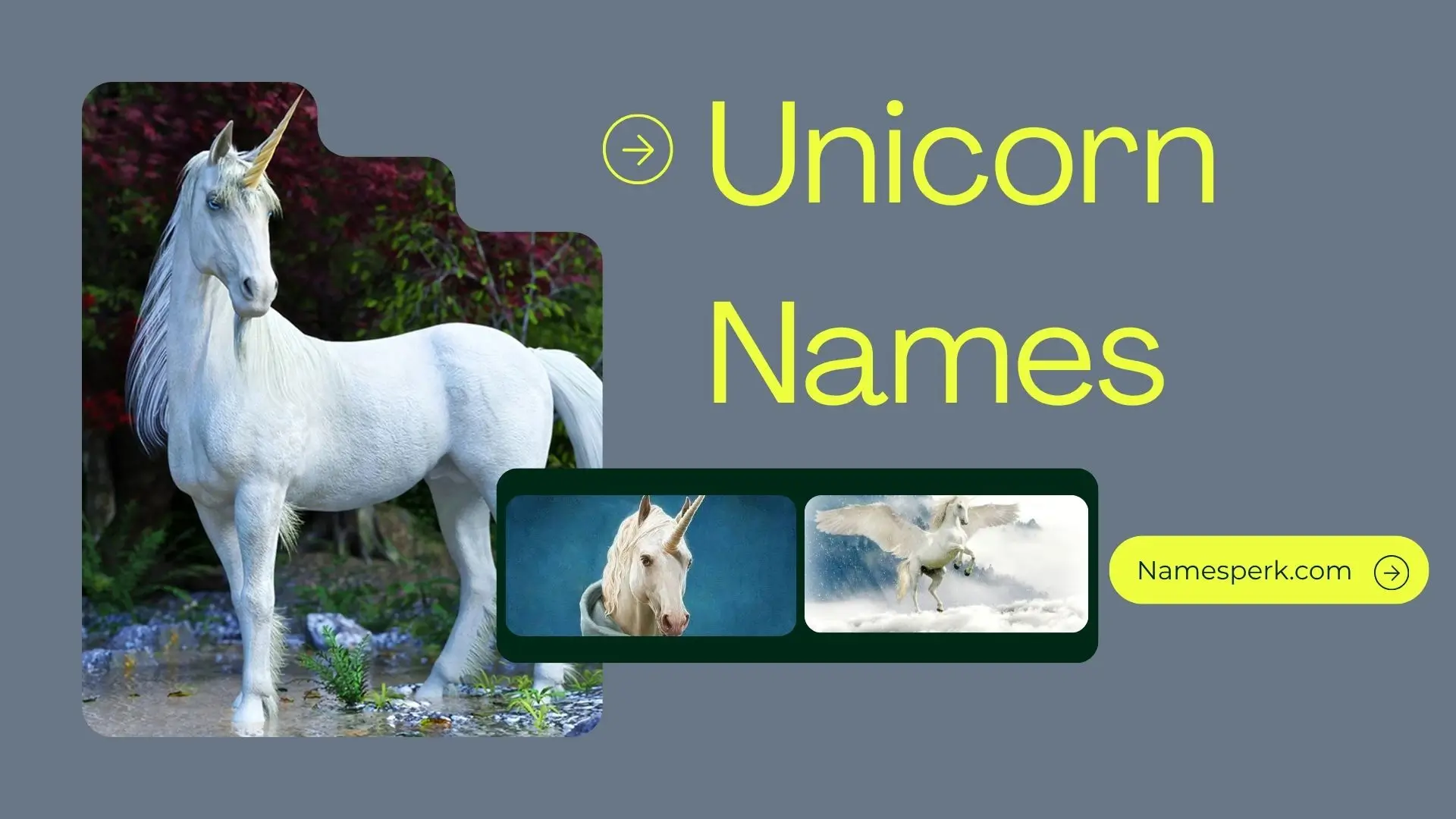 unicorn names