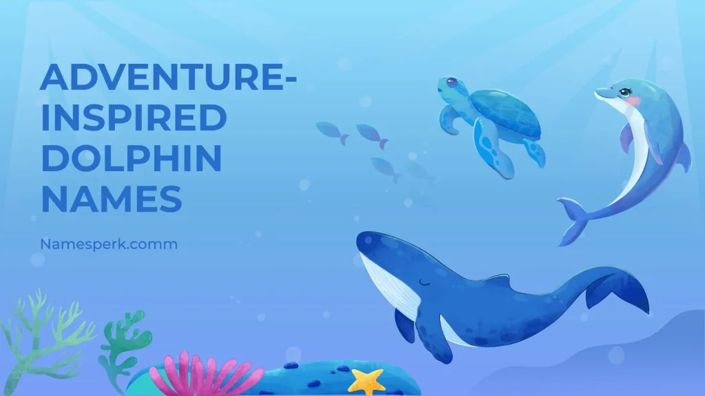 Adventure-Inspired Dolphin Names