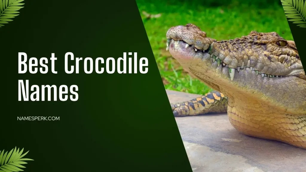 Best Crocodile Names