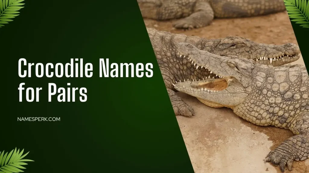 Crocodile Names for Pairs