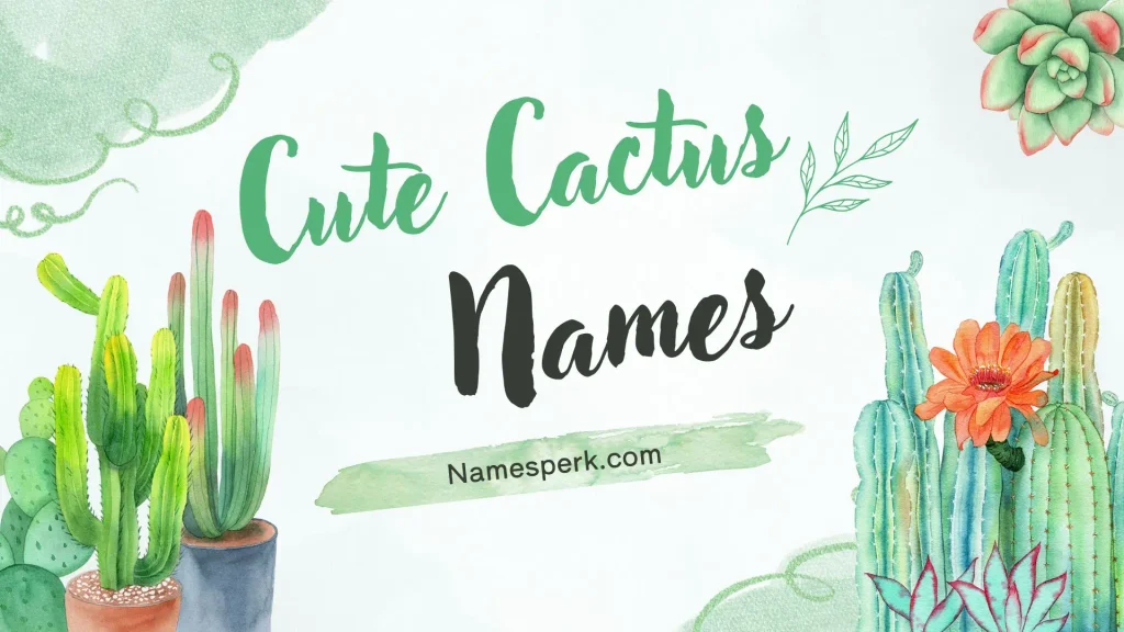 Cute Cactus Names
