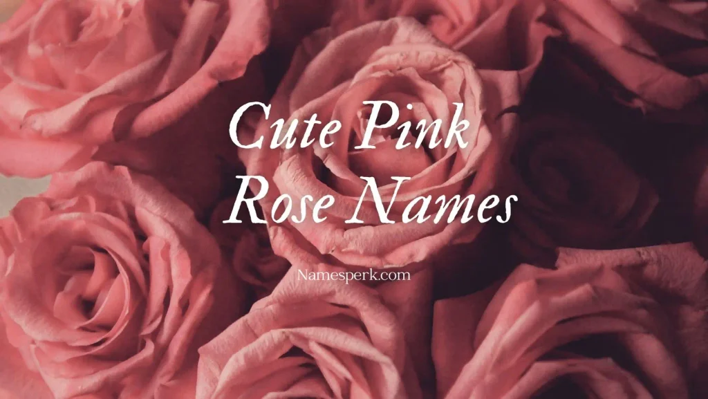 Cute Pink Rose Names