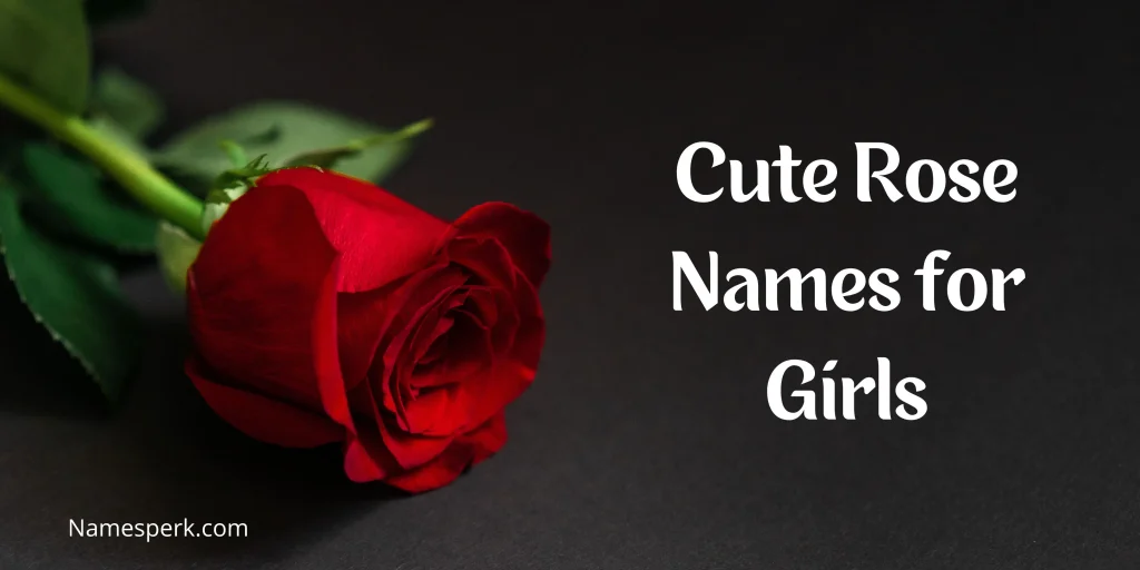 Cute Rose Names for Girls