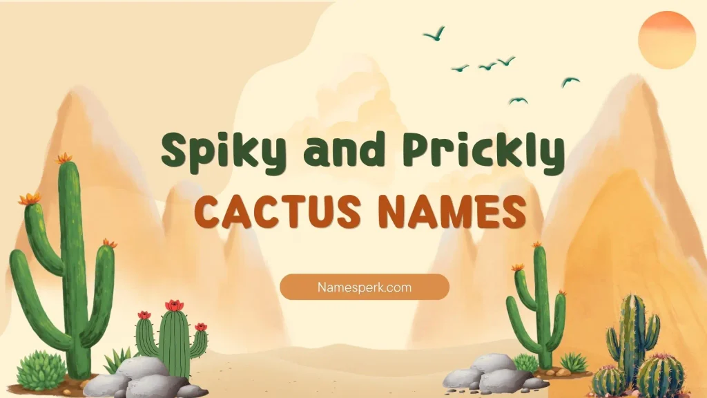 Spiky and Prickly Cactus Names