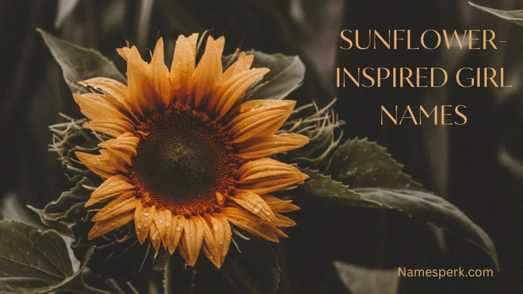 Sunflower-Inspired Girl Names