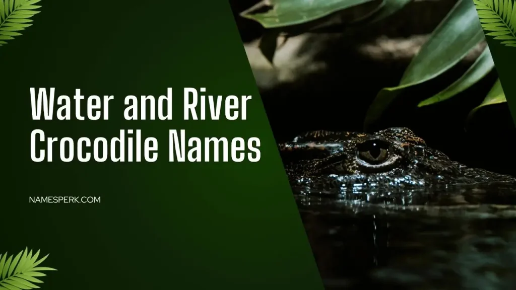 Water and River Crocodile Names