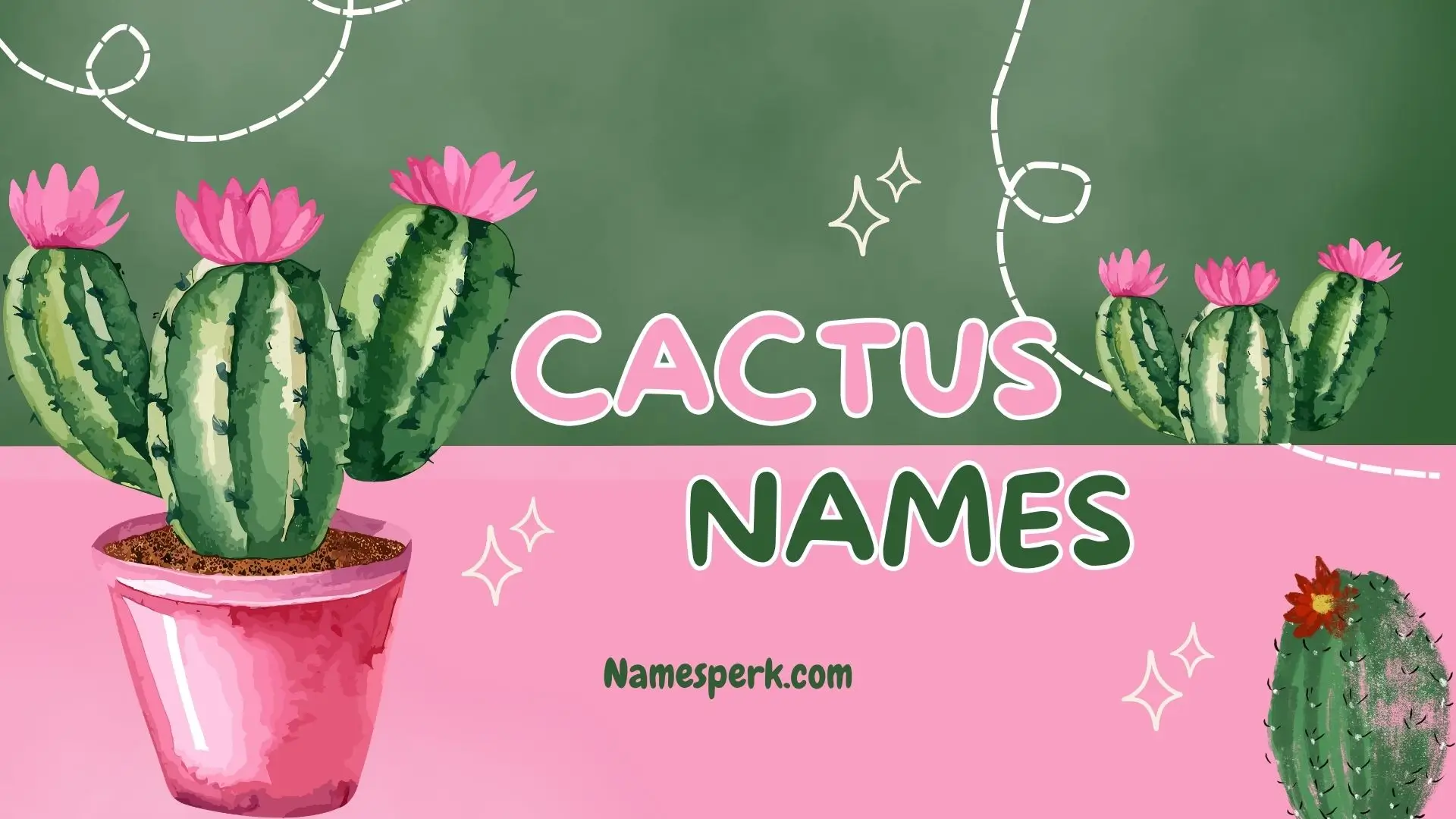 cactus names